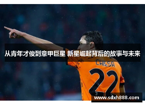 从青年才俊到意甲巨星 新星崛起背后的故事与未来