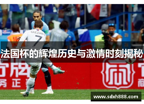 法国杯的辉煌历史与激情时刻揭秘