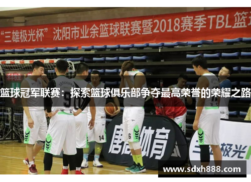 篮球冠军联赛：探索篮球俱乐部争夺最高荣誉的荣耀之路