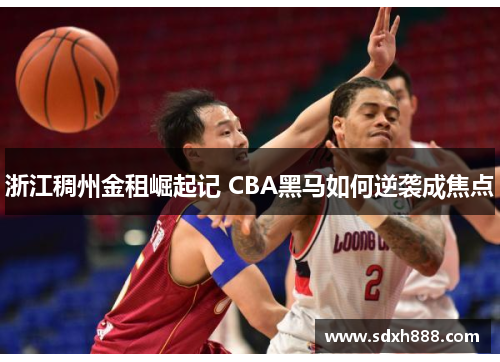 浙江稠州金租崛起记 CBA黑马如何逆袭成焦点
